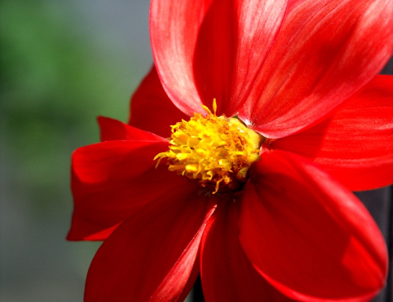 This image has been resized